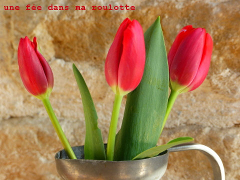 tulipes2022