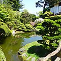 Tea Garden (74)