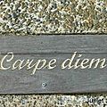 52 semaines en photos -sentiment