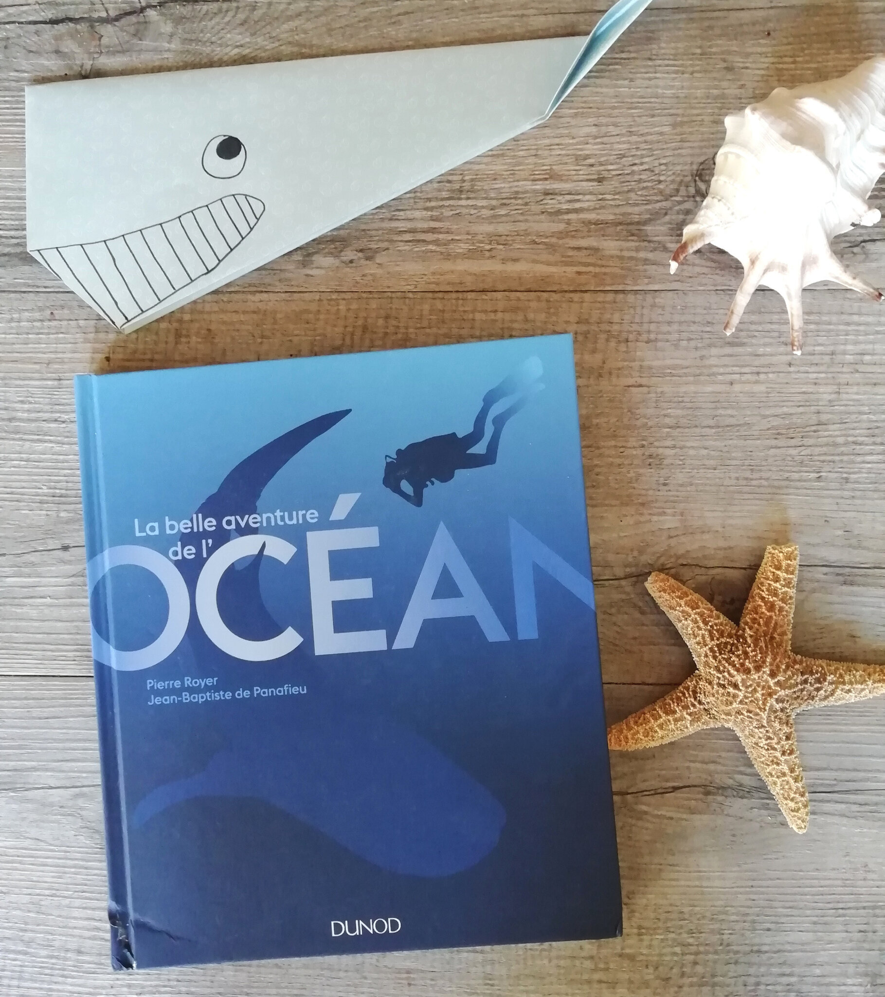 Beau Livre On Plonge Dans La Belle Aventure De L Ocean Baz Art Des Films Des Livres