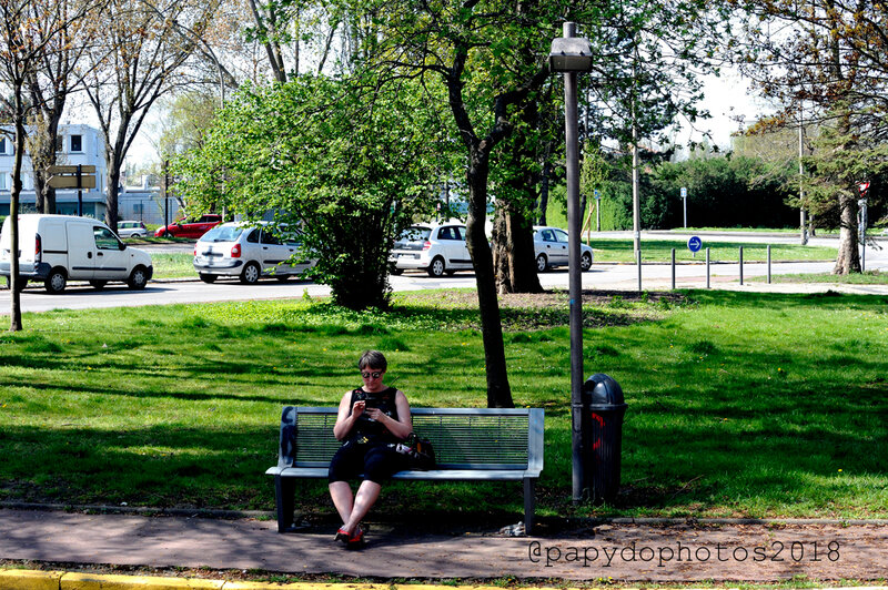 On A Tous Un Banc Un Arbre Ou Une Rue Ou L On A Berce Nos Reves Illustration De La Chanson De Severine Papydo Photos Reportages