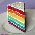 Un rainbow cake pour ses 13 ans !! 