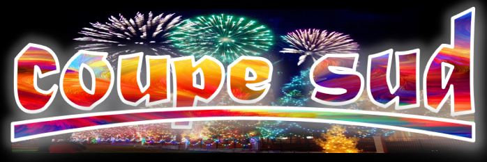 coupe sud-feu artifice