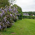 IMGP3986