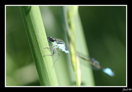 IMG_0644_sign_e
