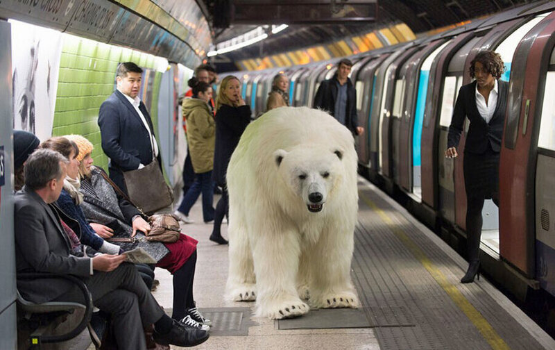 L'ours blanc du métro 126997321