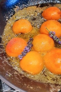 Abricots-rotis-5