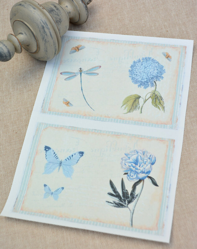 carte postale papillon et hortensia bleus
