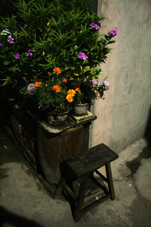 Hutong_by_night_3___Adeline_Cassier