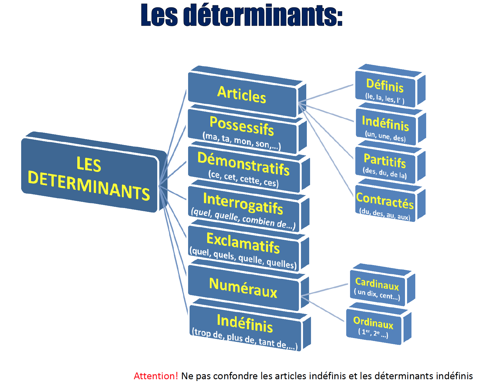 Quels Sont Les Déterminants Français - Grammaire : le déterminant - 5C - Saint-Louis 3 - BXL