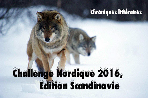 challenge nordique scandinavie