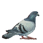 q7u6o9ua[1]