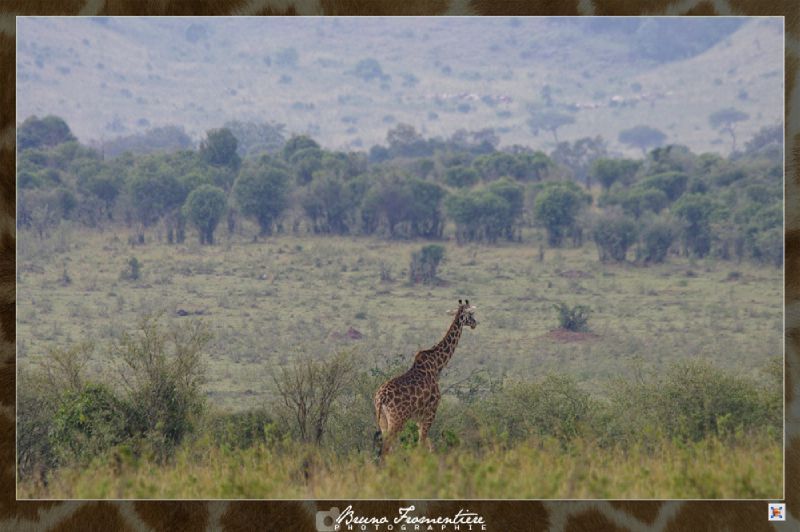 Kenya 9b