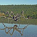 Chateau La Coste, Art & Architecture