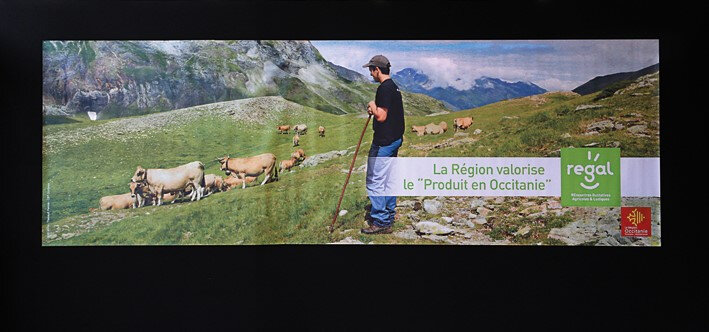 SALON_REGAL_Affiche_alpages (2)
