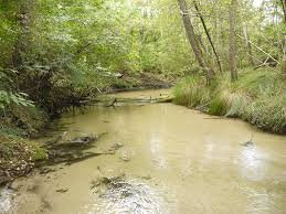 Photo-ruisseau-Escource-eau-claire