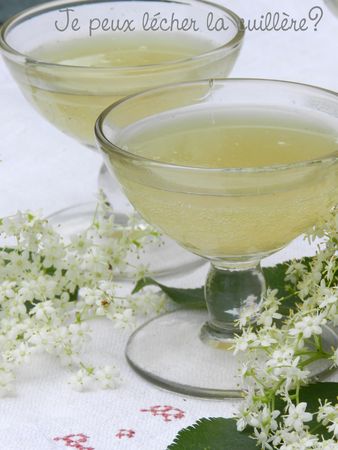 La Sureaunade Je Peux