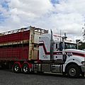 DSC08081