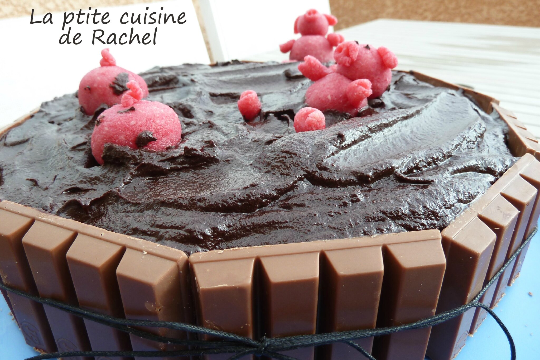 Gateau Petits Cochons Dans Leur Bain De Boue La Ptite Cuisine De Rachel Et Fanny