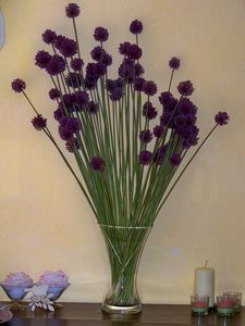 Bouquets_fleurs_d_ail__fleurs_champ_tres_038