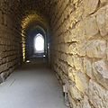 P1000607