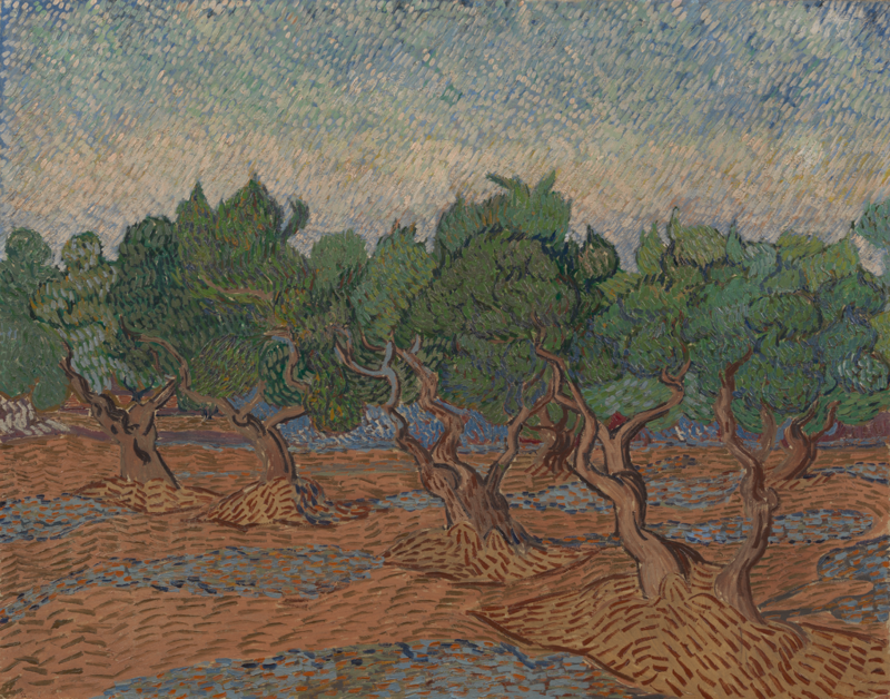 4 web Vincent van Gogh, Olive Grove, 1889, oil on canvas, Van Gogh Museum, Amsterdam