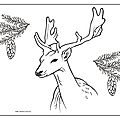 Coloriage daim Ghislaine Letourneur