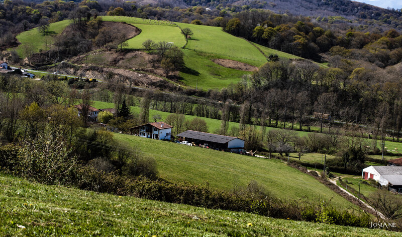 22032019-_MG_5069