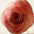 Rose de papier et acquarelle, détail