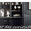 Cabinet des curiosités