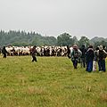 confrontation sur l'herbe à nddl