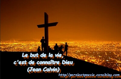 But Vie Connaitre Dieu Jean Calvin Citation Vois Et Viens