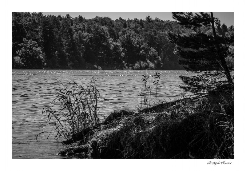 IMGP6790-10