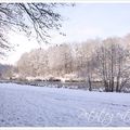 La balade du dimanche : saint-julien-lès-montbéliard et l'étang des princes (raynans)sous la neige et le soleil de franche-comté