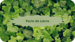 13 LIERRE(2)Purin de Lierre-modified