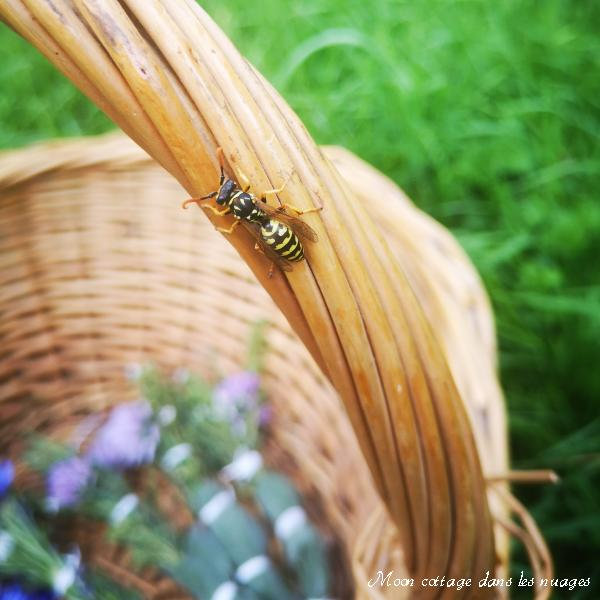 Journal de bord d'hiver: La spiritualité des petites choses - Mon