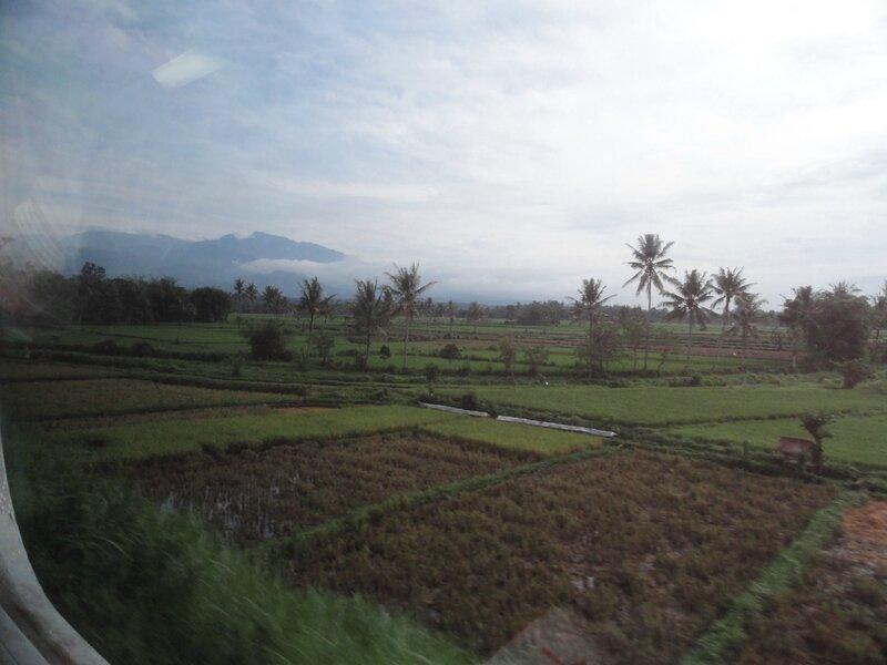 DSC09655