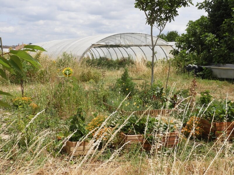 Jardin