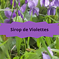 15 VIOLETTESSirop de Violettes