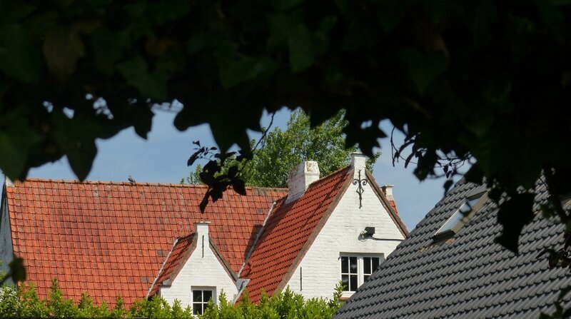 P1650797