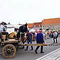 IMGP7019