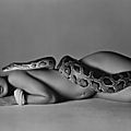 Richard avedon's nastassia kinski and the serpent expected to bring $50,000+ at heritage auctions