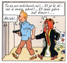 DDS 600 Tintin