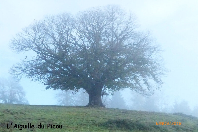 P1040136