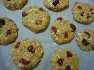 cookies flocons d'avoine cranberries (30)