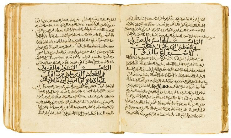 Abu'l-Hasan Ahmed Ibn Muhammad al-Turunji al-Tabari, Kitab al-Mu'alajat al-Buqratiyyah ('The Book of the Hippocratic Treatments'), chapters IX and X, Iraq or Western Persia, circa 1000 AD