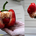 poivron