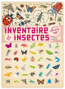 inventaire_des_insectes