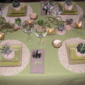 Table plantes grasses