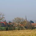 IMGP7711